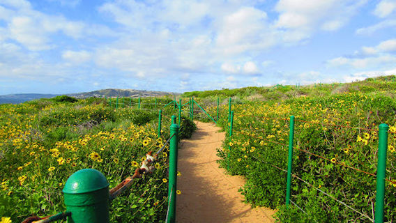 Dana Point