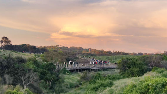 Phillip Island