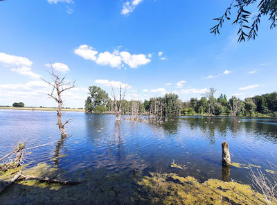 RVR Nature Bislicher Island