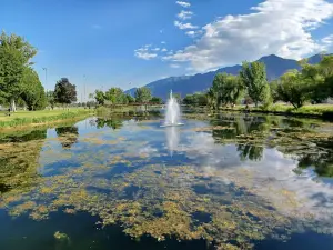 Rees Pioneer Park