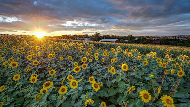 Hennigar's Farm Market