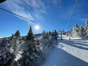 Mt Snow