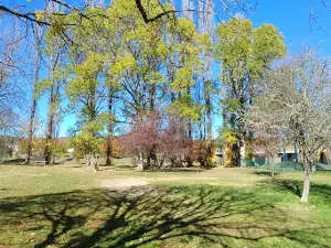 Nimmitabel Campground