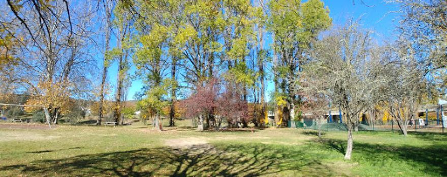 Nimmitabel Campground
