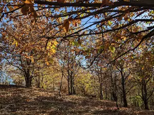 Parco Avventura Esploraria, Lame di Zocca (MO)