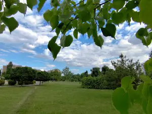 Park prozivka