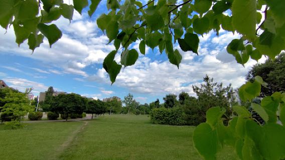 Park prozivka