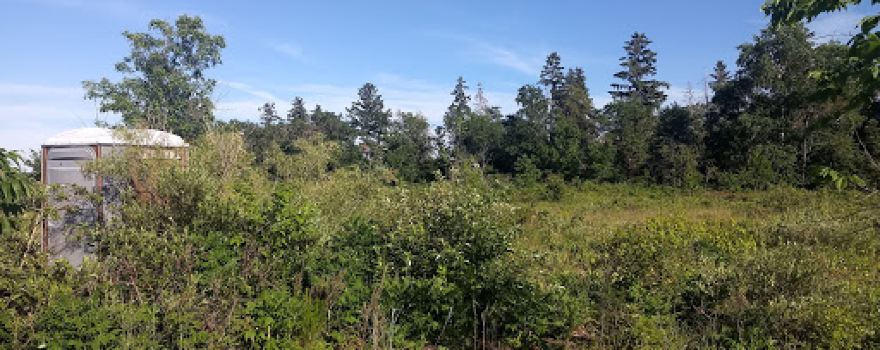 Garden Island State Recreation Area