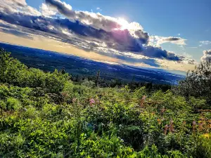 Arctic Valley Overlook