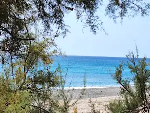 Quattro C.