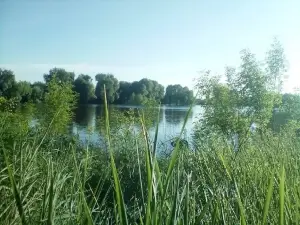 Park