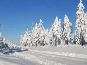 Park Kul'tury I Otdykha