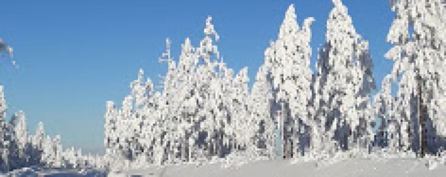 Park Kul'tury I Otdykha