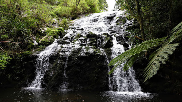 Te Wairere Waterfall