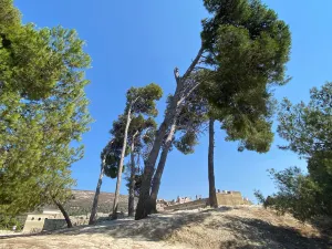 Palast von Knossos