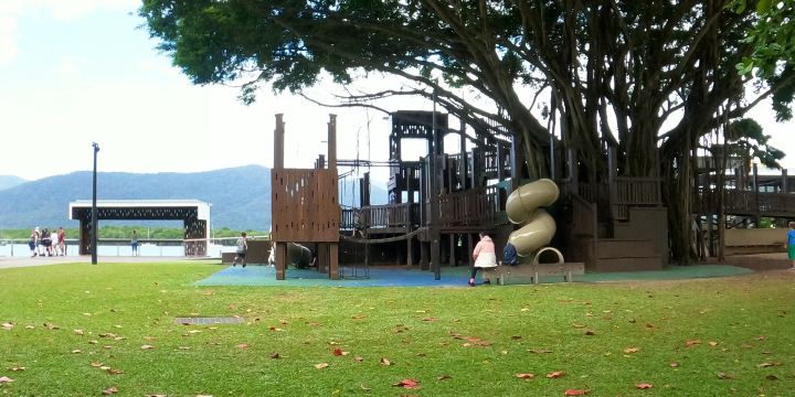 Fig Tree Play Ground
