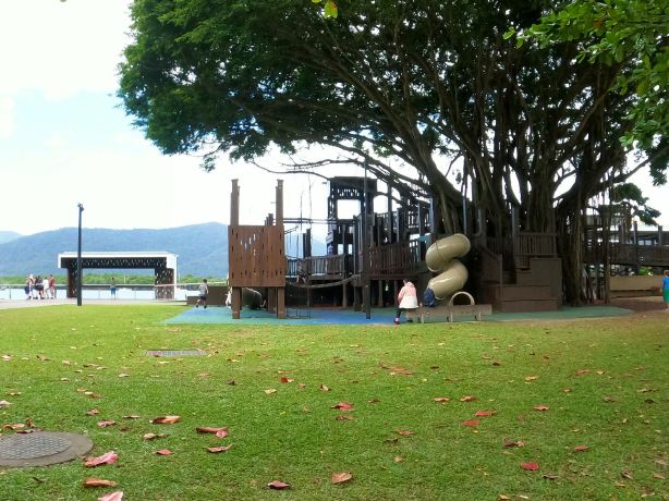 Fig Tree Play Ground