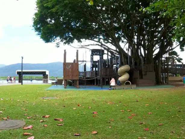 Fig Tree Play Ground