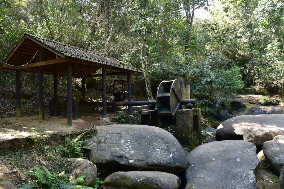 อุทยานแห่งชาติภูหินร่องกล้า