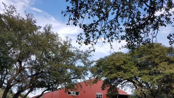 Family Business Beer Company