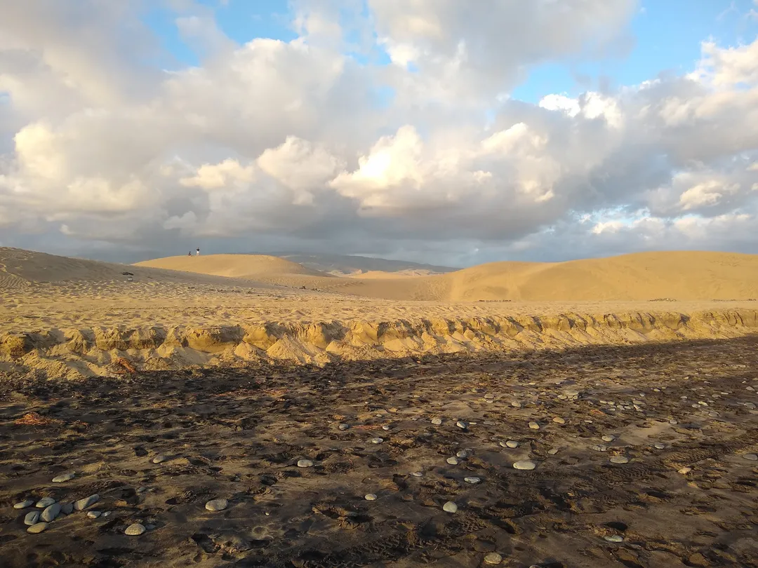 3_Reserva Natural Especial de Las Dunas de Maspalomas