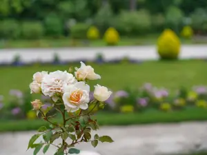 Botanical Garden