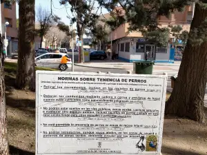 Lineal Park