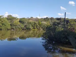 Parque Zoologico Municipal de Bauru