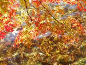 山形県総合運動公園