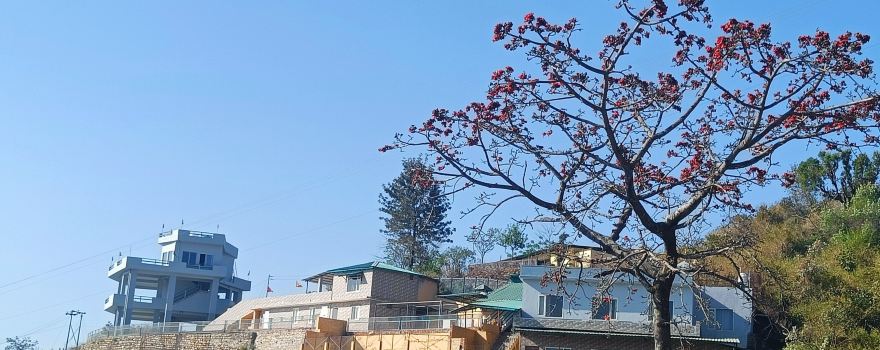 Shree Neelkanth Mahadev Temple