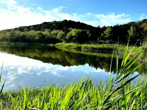 Cedar Ridge Preserve