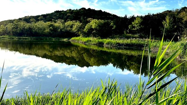 Cedar Ridge Preserve