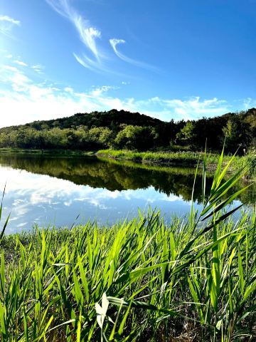 Cedar Ridge Preserve