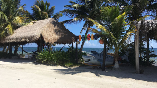 Dreamtime Dive Center