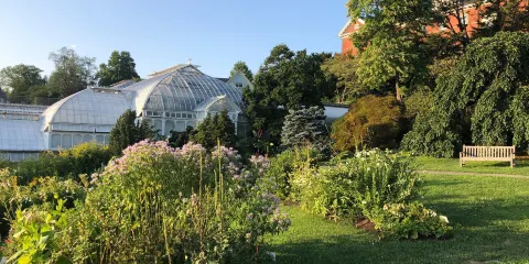 Smith College Botanic Garden