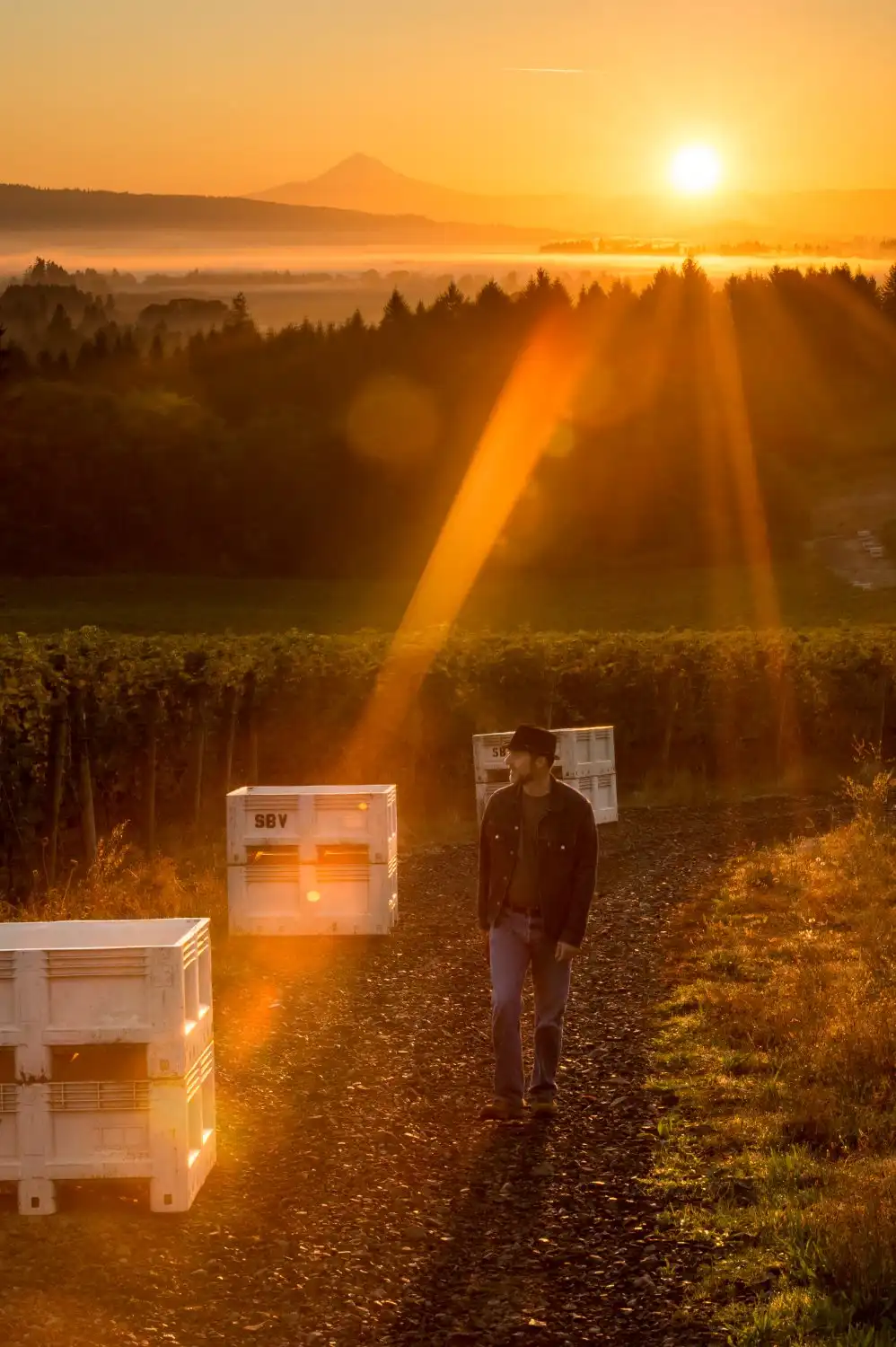 Hotels near Sokol Blosser Winery