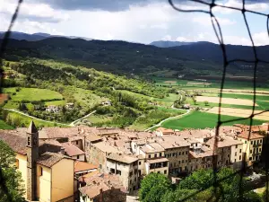 Castle of the Earls Guidi