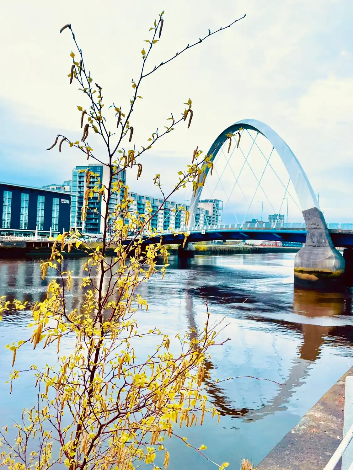 Hotel in zona Clyde Arc Bridge