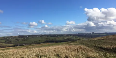 Baildon Moor