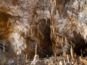 Grotte de Foissac
