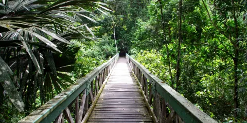 蘭卑爾山國家公園