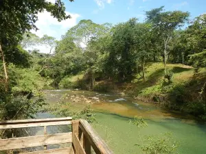 parco nazionale di Guanacaste