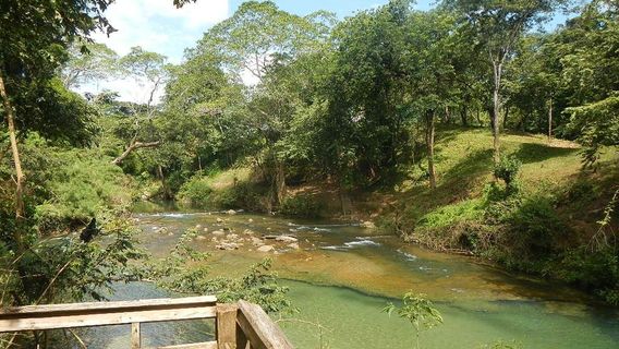 Национальный парк Гванакаст