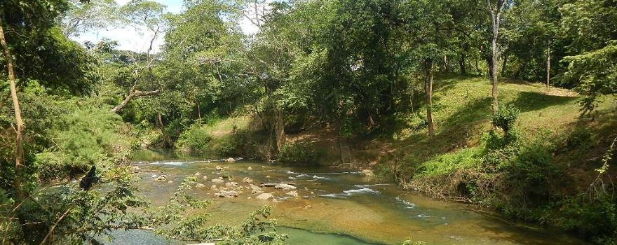 Guanacaste National Park