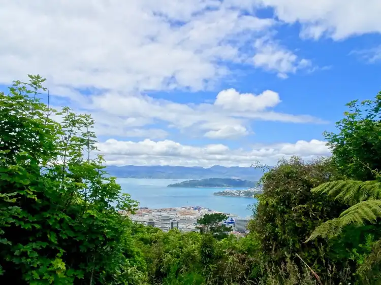 Hotel in zona Te Ahumairangi Hill Lookout