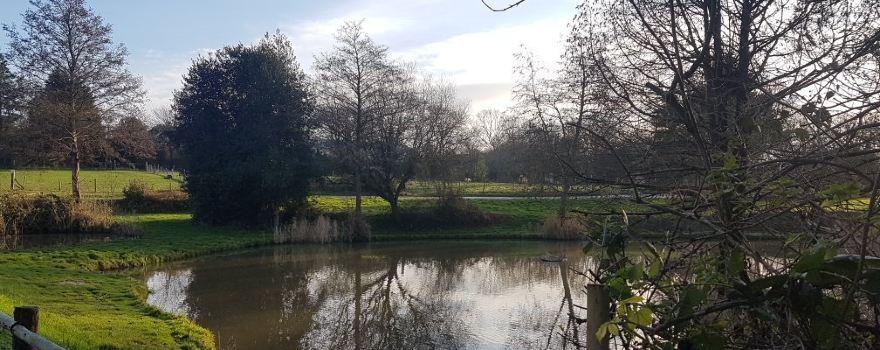 Heathfield