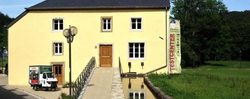 Waldbillig