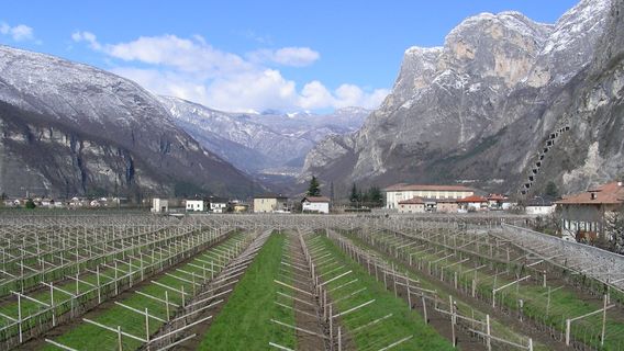 Cantina Marco Donati