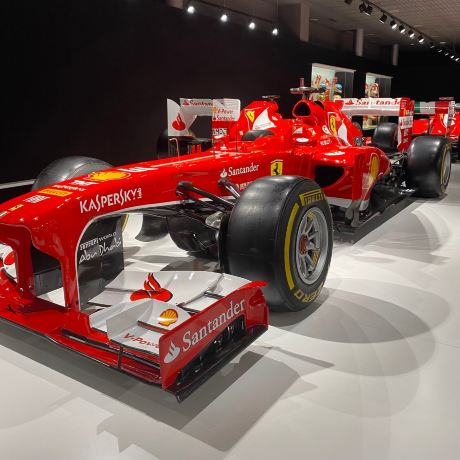 Fernando Alonso Museum