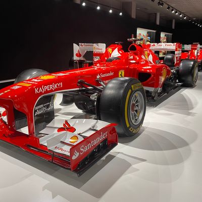 Fernando Alonso Museum